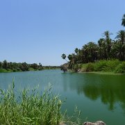 San Ignacio is an oasis. : Baja2011